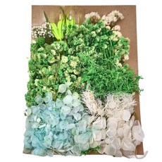 A-ONE 匯旺 乾燥花 C14 秋色怡人 2入