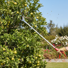 Banggeuri 長臂果樹採摘修枝剪 1m, 1個