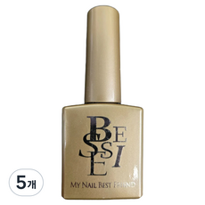 BESSIE 마롱 자석젤, MG20 펌프킨 세이지, 11ml, 5개