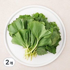국내산 머위잎, 250g, 2개