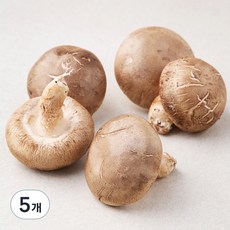 친환경 표고버섯, 150g, 5개