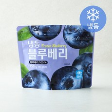 호재준 칠레산 블루베리 (냉동), 1개, 150g