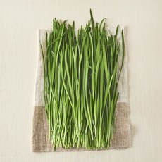 국내산 무농약 부추, 300g, 1개