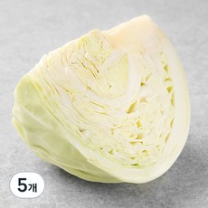 국내산 조각 양배추, 300g, 5개