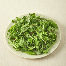 유기농 어린잎 채소믹스, 50g, 1개, 50g
