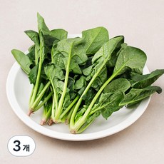 국내산 친환경 시금치, 200g, 3개