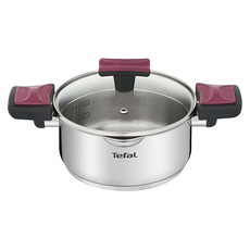 Tefal 特福 香頌不鏽鋼系列 雙耳湯鍋 附鍋蓋, 24cm, 單一顏色, 1組