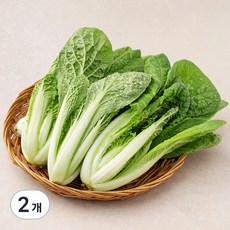 친환경 얼갈이, 300g, 2개, 300g