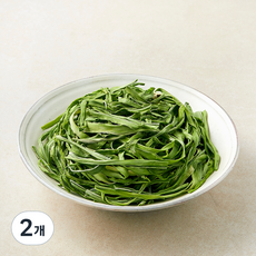 나물투데이 건궁채, 300g, 2개, 1개입