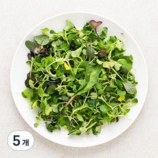 베이비채소, 50g, 5개