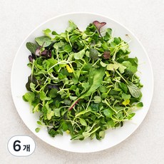 베이비채소, 50g, 6개
