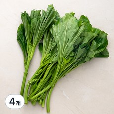국내산 친환경 아욱, 300g, 4개