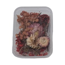 A-ONE 匯旺 乾燥花 A113, 光輝火焰, 2入, 1個