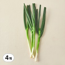 국내산 친환경 중파, 300g, 4개