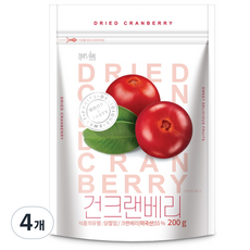 넛츠데이 건크랜베리, 200g, 4개