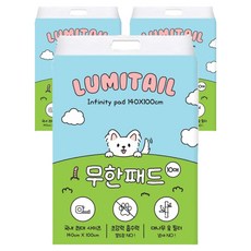 루미테일 강아지 무한 배변패드 무향, 10개입, 3개
