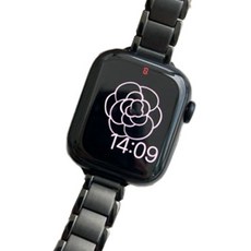 피어니스트 애플워치 메탈 스트랩, 블랙(시크)