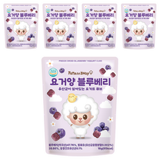 팜투베이비 유아용 요거양 요거트 큐브, 블루베리, 16g, 5개