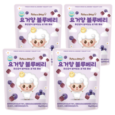 팜투베이비 유아용 요거양 요거트 큐브, 블루베리, 16g, 4개