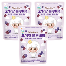 팜투베이비 유아용 요거양 요거트 큐브, 블루베리, 16g, 3개