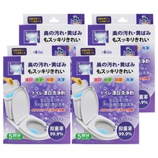 BEER BEAR 皮久熊 馬桶漂白清潔錠 5個入 居家馬桶清潔 除臭 抑菌, 100g, 4組