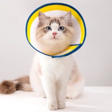 파스텔펫 반려동물 메쉬 배색라인 넥카라, 옐로우블루, 1개