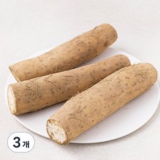 국내산 마, 1kg, 3개