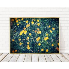 Mabell in home 風景畫室內裝飾鋁製畫框 + 蒲公英海報組, 金色