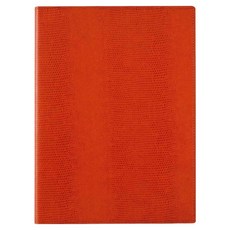 Raymay 藤井 zeitVektor A5 紙衣輕質筆記本資料夾 210 x 148mm, 桔色, 1本
