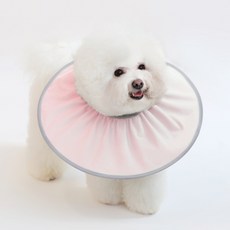 PET IN BEAUTY 寵物防舔咬頭套 粉紅色 S號, 40克, 1個