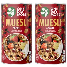원데이모어 쿠키 뮤즐리, 450g, 2개