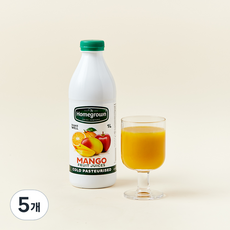 홈그로운 망고주스, 1L, 5개