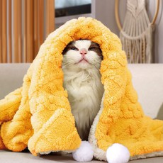 딩동펫 반려동물 방울방울 극세사 포근 이불 담요, 옐로우, 1개