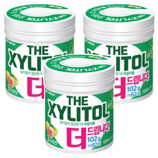오리온 달지않아 깔끔한 더 자일리톨, 102g, 3개