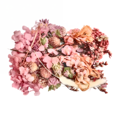 A-ONE 匯旺 乾燥花 B08 門色彩芽 2入, 鬥色爭艷