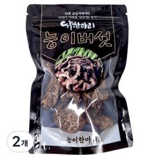타미푸드 능이한마리 육수내기용 건조 능이버섯, 2개, 25g
