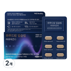 위시헬씨 하루드림 딥슬립 아쉬아간다, 30정, 2개