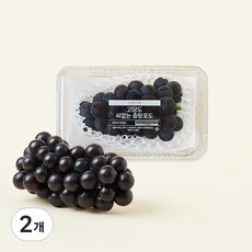 고당도 씨없는 충랑포도 1~2송이, 600g, 2개