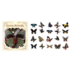 푸트로랩 나비 시리즈 핸드북 다꾸 스티커 20종 x 2p 세트, 빈티지 나비, 1세트