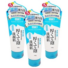 水平衡 台灣公司貨 水感泡泡洗面乳, 100g, 3件