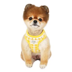 ITS DOG 狗狗愛心格紋胸背帶, 黃色