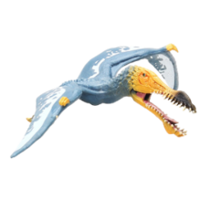 Seoha's Home 安漢古翼龍公仔