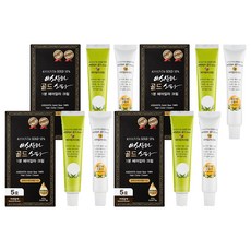 assanta 阿桑塔 黃金SPA快速1分鐘遮白染髮劑 80g, 5號(自然棕), 4盒