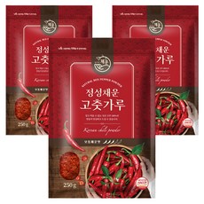 채운 정성채운 국산 고춧가루 보통매운맛, 250g, 3개