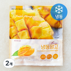 베트남산 망고 (냉동), 2개, 500g