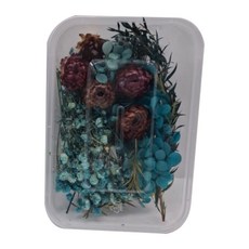 A-ONE 匯旺 乾燥花 2盒, 夢幻森林 多色