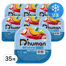 듀먼 전연령용 강아지 오리지널 냉동 화식사료, 오리+채소, 100g, 35개