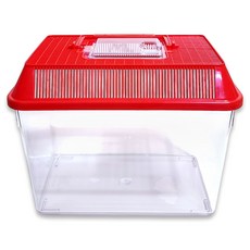 拉絲方形收藏家紅色大號, 1個