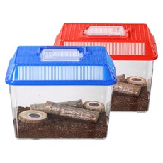 사필풍 장수풍뎅이 사각 대형 실속 세트, 랜덤 발송, 1개