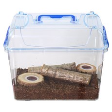 사필풍 장수풍뎅이 클린 대형 실속 세트, 혼합색상, 1개